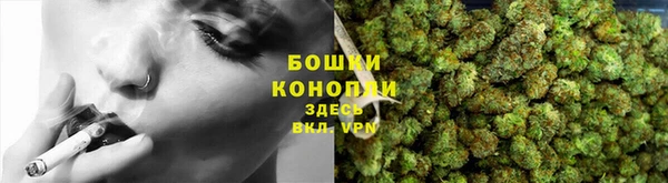 прущие грибы Арсеньев