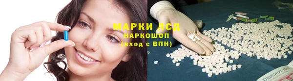 прущие грибы Арсеньев