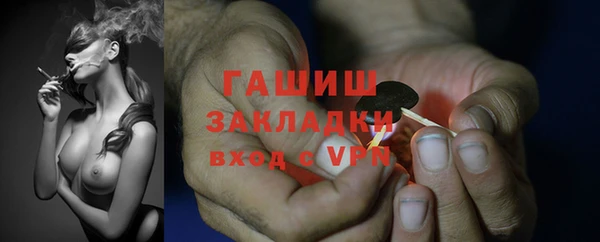 прущие грибы Арсеньев