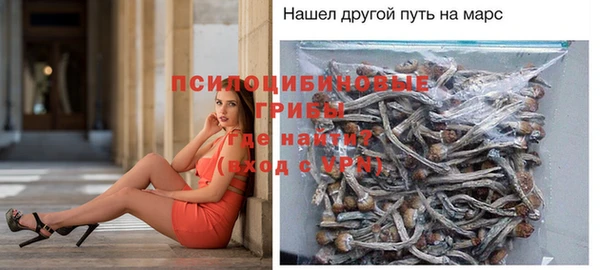 прущие грибы Арсеньев